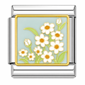 Daisies