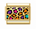 Colourful Cheetah