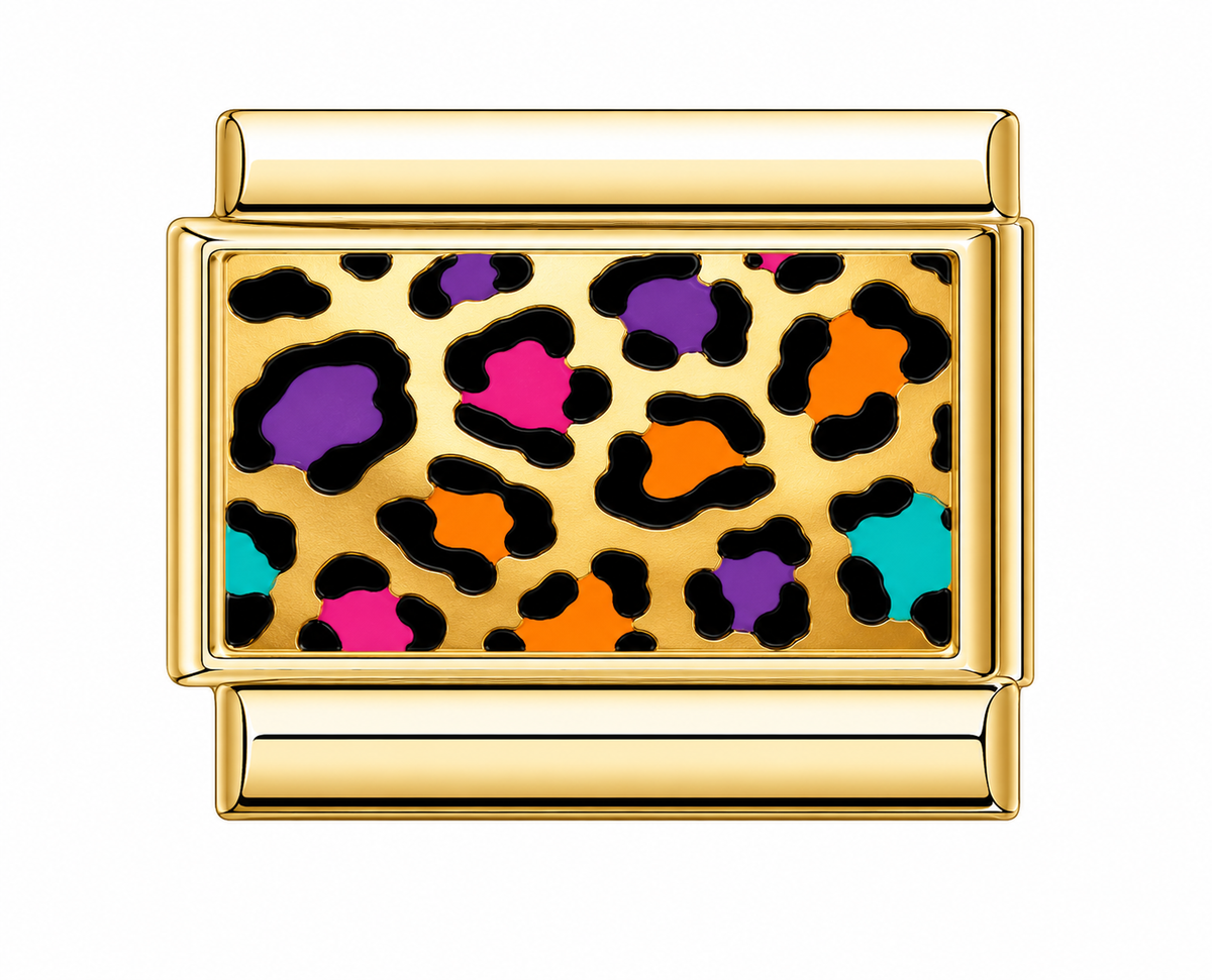 Colourful Cheetah