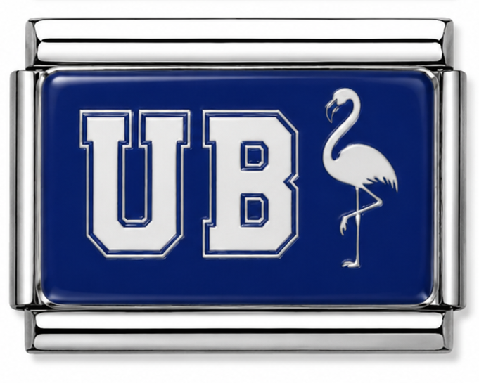 University of Bahamas Charm
