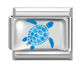 Blue Turtle
