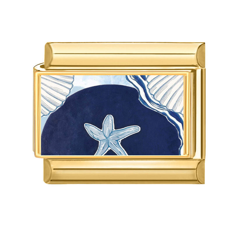 Sand Dollar